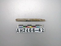 藏品(石針殘件)的圖片